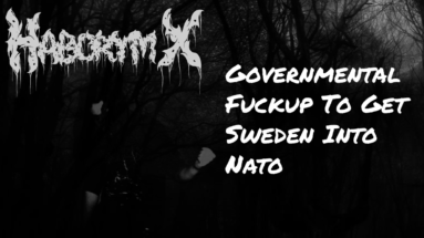 sweden into nato