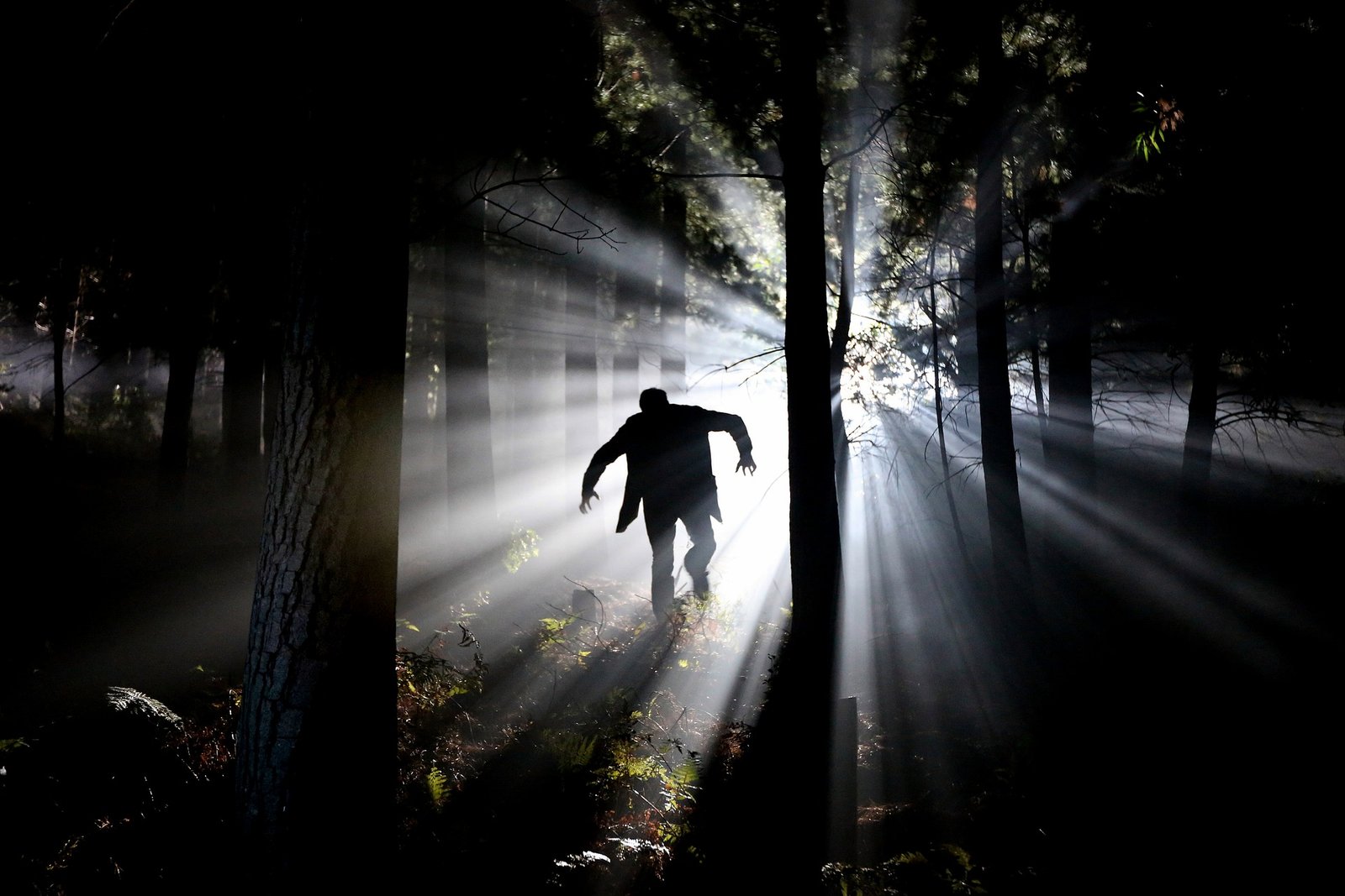 Silhouette of a figure walking through a forest with eerie light, suitable for the Vampire Halloween Costume Aesthetic.