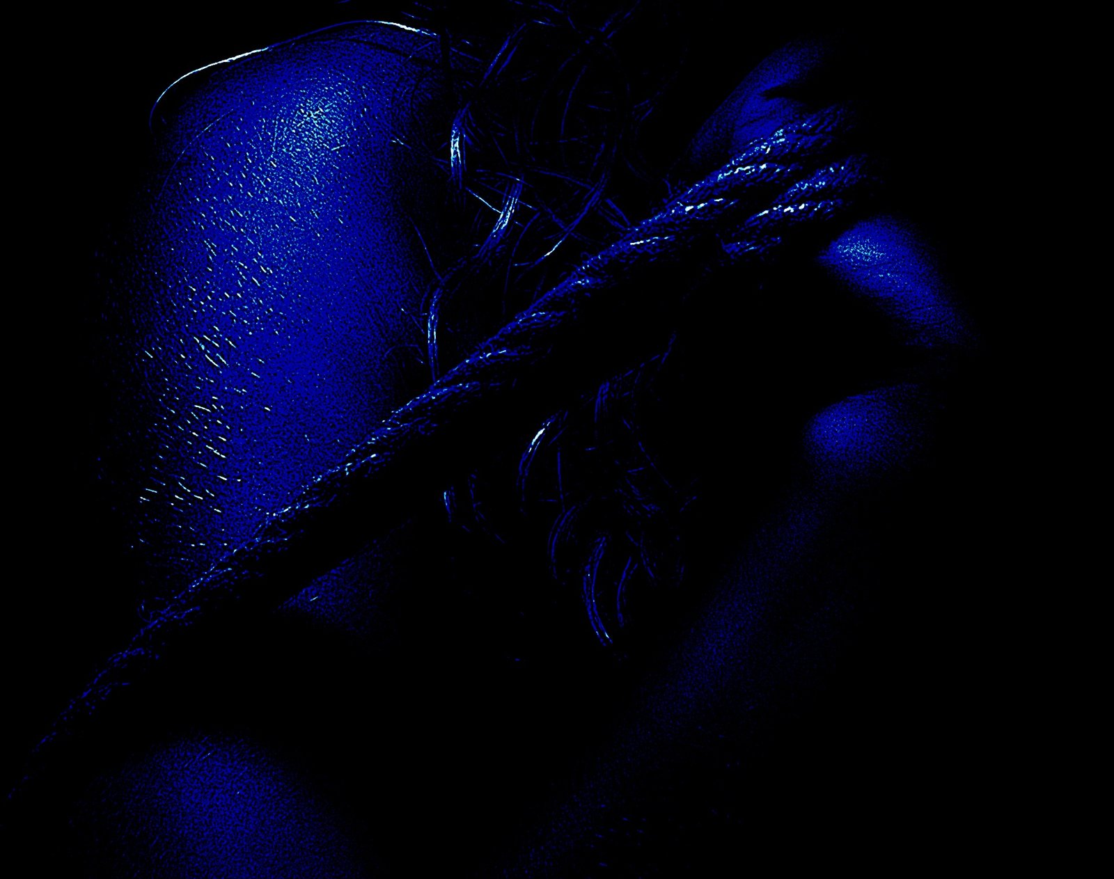 Close-up of a woman’s body wrapped in rope, her hair cascading in shadows, creating an air of mystery and seduction.
