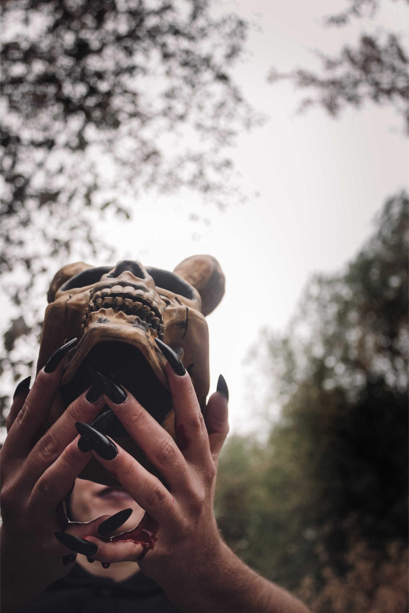 Hands with black nails holding a weathered skull under a cloudy forest sky